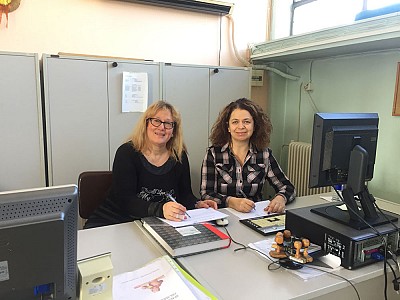 On-site training seminar - T4E Trikala